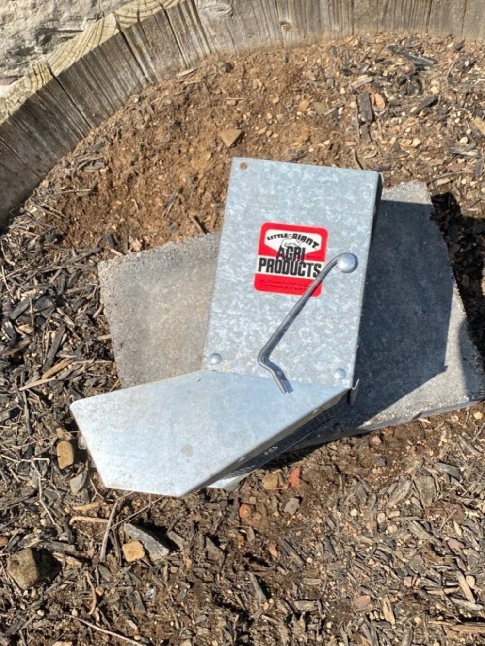 LITTLE GIANT AGRI PRODUCTS CHICKEN FEEDER GALVANIZED METAL and mesh wire